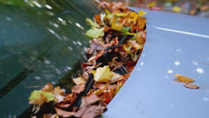 EJOneilInsurance_CaringforYourCar